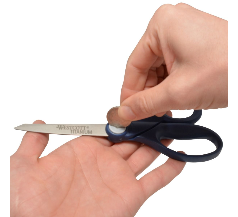 Set de 4 piezas: 2 tijeras de 8